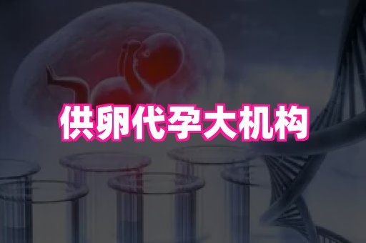 杭州助孕网站 1