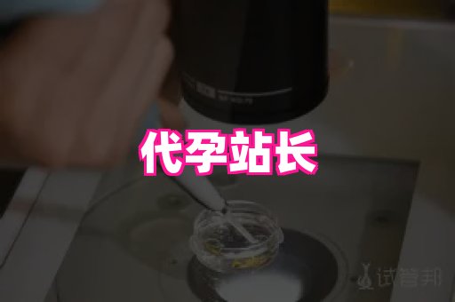 杭州助孕网站 2
